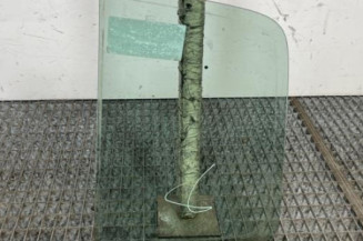 Custode arriere droit (porte) RENAULT CLIO 2