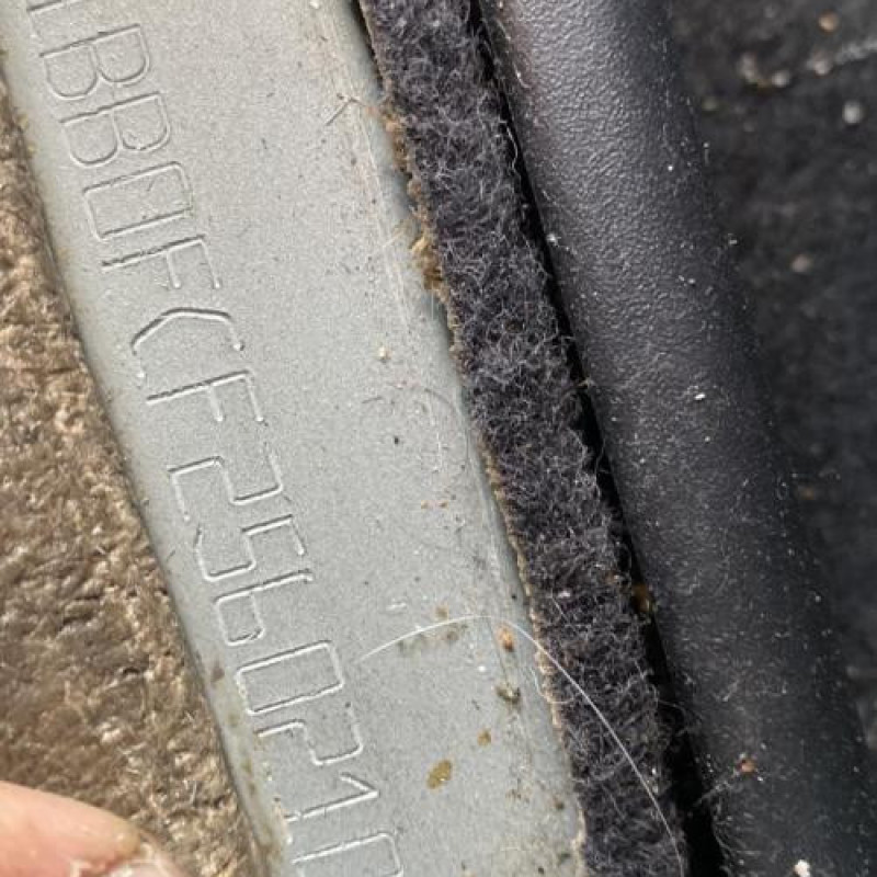 Custode arriere droit (porte) RENAULT CLIO 2 Photo n°6