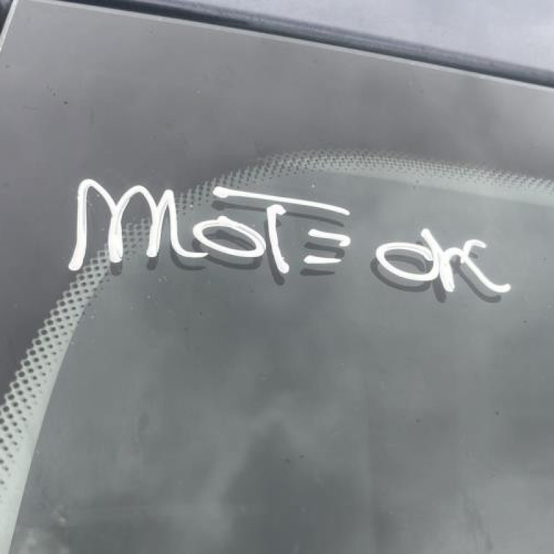 Retroviseur droit RENAULT MEGANE 3 Photo n°13