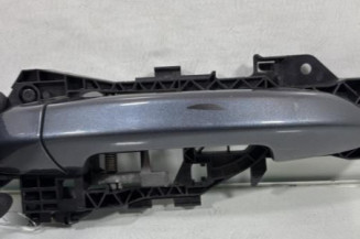 Poignee porte arriere gauche VOLKSWAGEN PASSAT 6