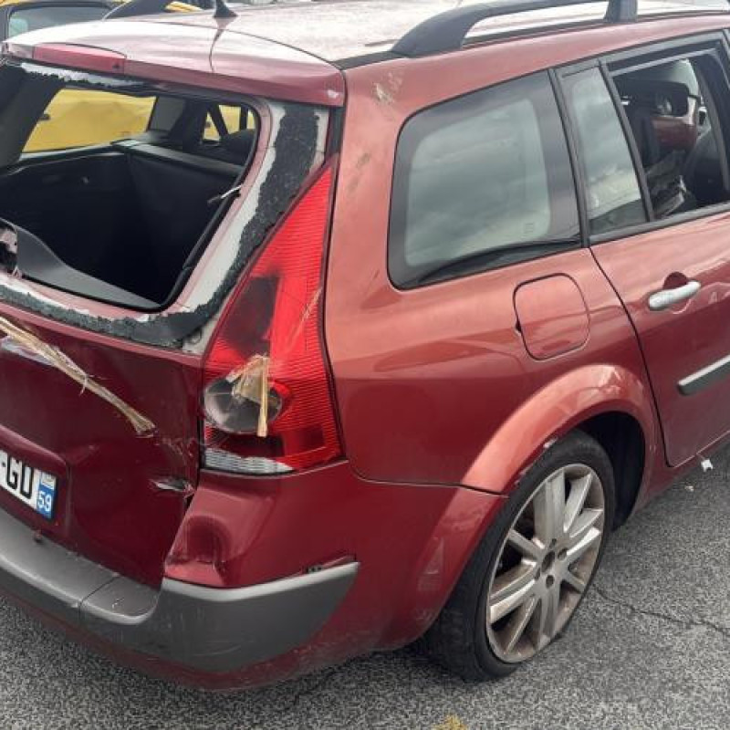 Feu arriere principal gauche (feux) RENAULT MEGANE 2 Photo n°6