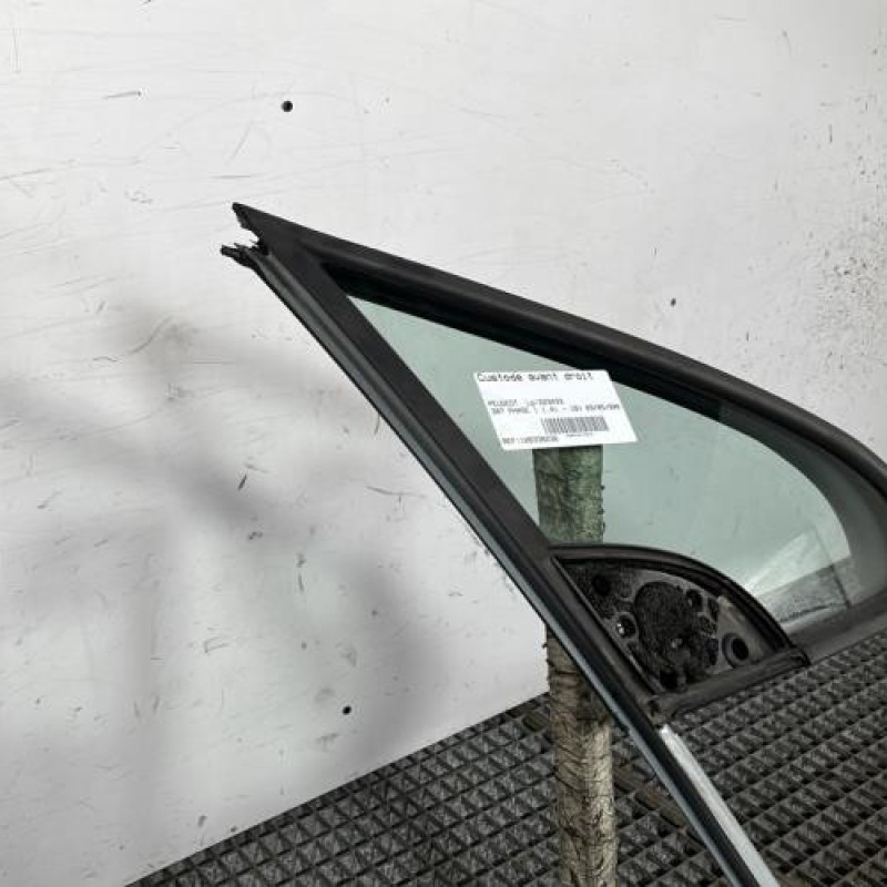 Custode avant droit (porte) PEUGEOT 307 Photo n°3