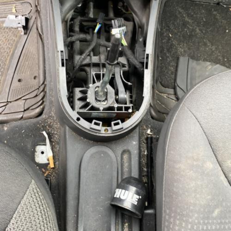 Repetiteur clignotant avant gauche (Feux) CITROEN C2 Photo n°19