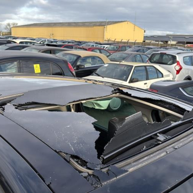 Volant RENAULT SCENIC 3 Photo n°13