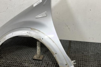 Aile avant gauche DACIA SANDERO 1