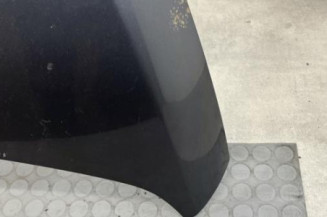 Capot PEUGEOT 3008 1