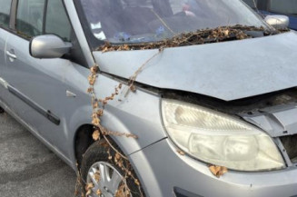 Custode arriere gauche RENAULT SCENIC 2