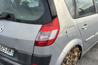 Custode arriere gauche RENAULT SCENIC 2