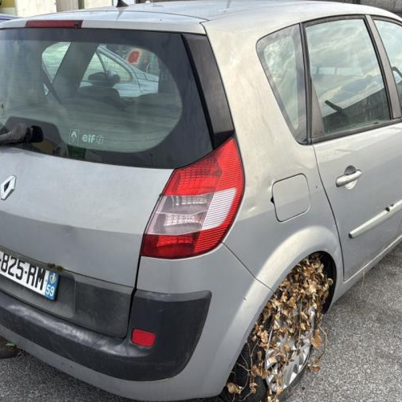 Custode arriere gauche RENAULT SCENIC 2 Photo n°7