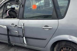 Custode arriere gauche RENAULT SCENIC 2