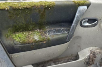 Custode arriere gauche RENAULT SCENIC 2