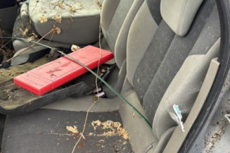 Custode arriere gauche RENAULT SCENIC 2