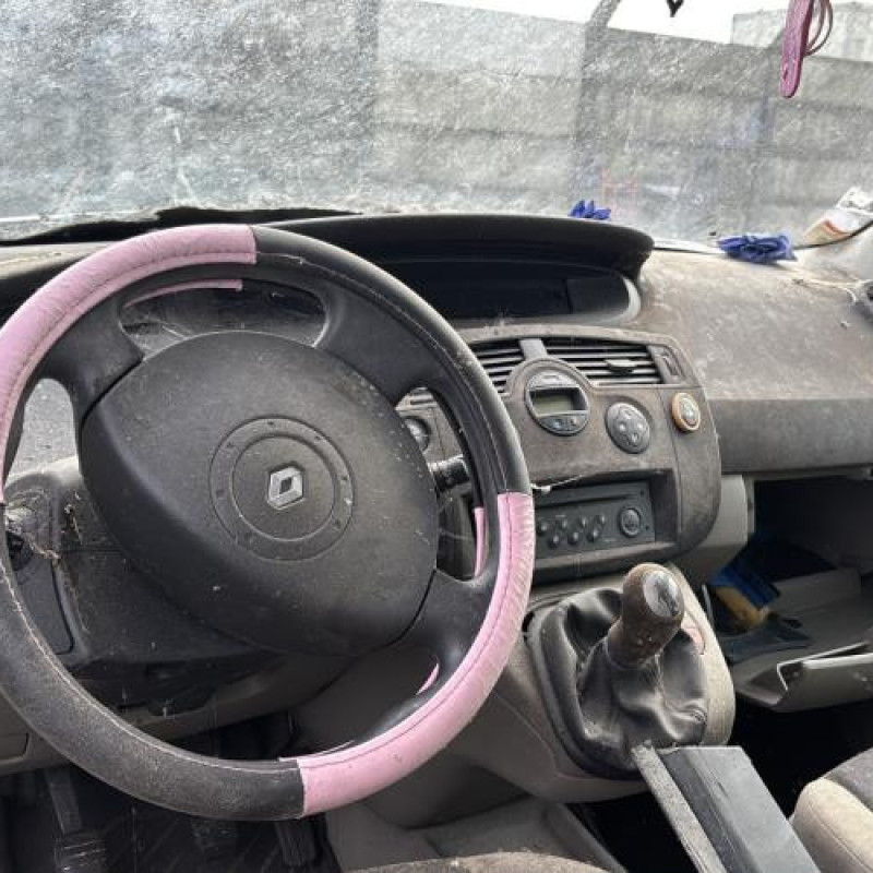 Custode arriere gauche RENAULT SCENIC 2 Photo n°16