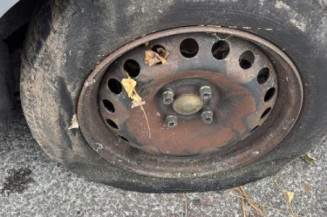 Custode arriere gauche RENAULT SCENIC 2