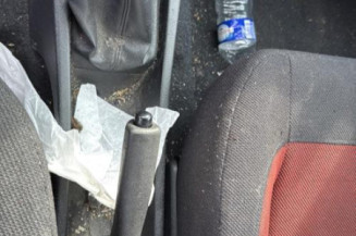 Custode arriere gauche PEUGEOT 306