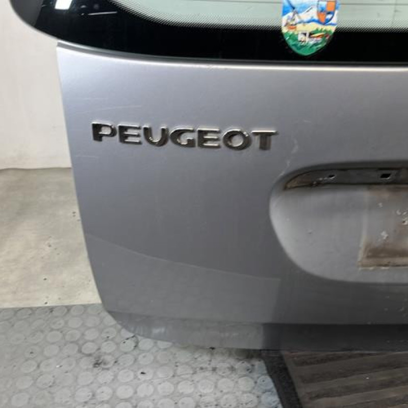 Malle/Hayon arriere PEUGEOT 307 Photo n°6