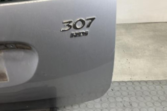 Malle/Hayon arriere PEUGEOT 307