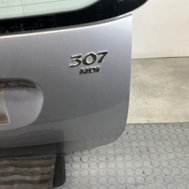 Malle/Hayon arriere PEUGEOT 307 Photo n°7