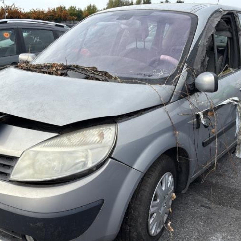 Custode avant droit (porte) RENAULT SCENIC 2 Photo n°5