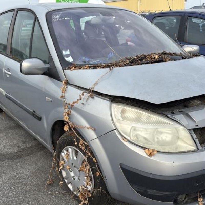 Custode avant droit (porte) RENAULT SCENIC 2 Photo n°6