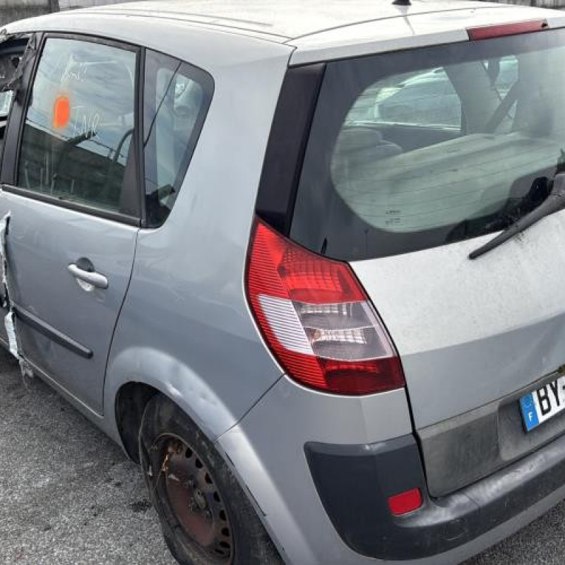 Custode avant droit (porte) RENAULT SCENIC 2 Photo n°8