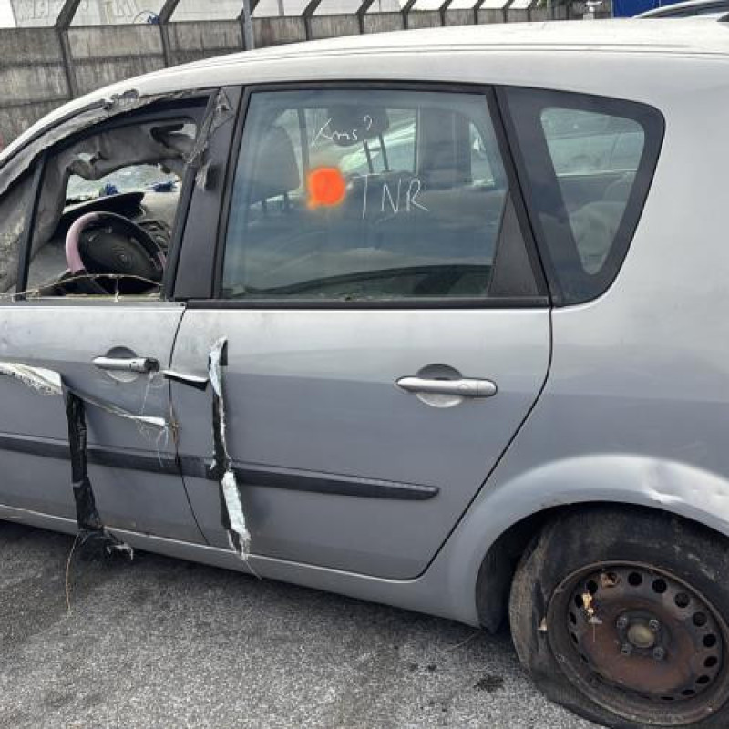 Custode avant droit (porte) RENAULT SCENIC 2 Photo n°10