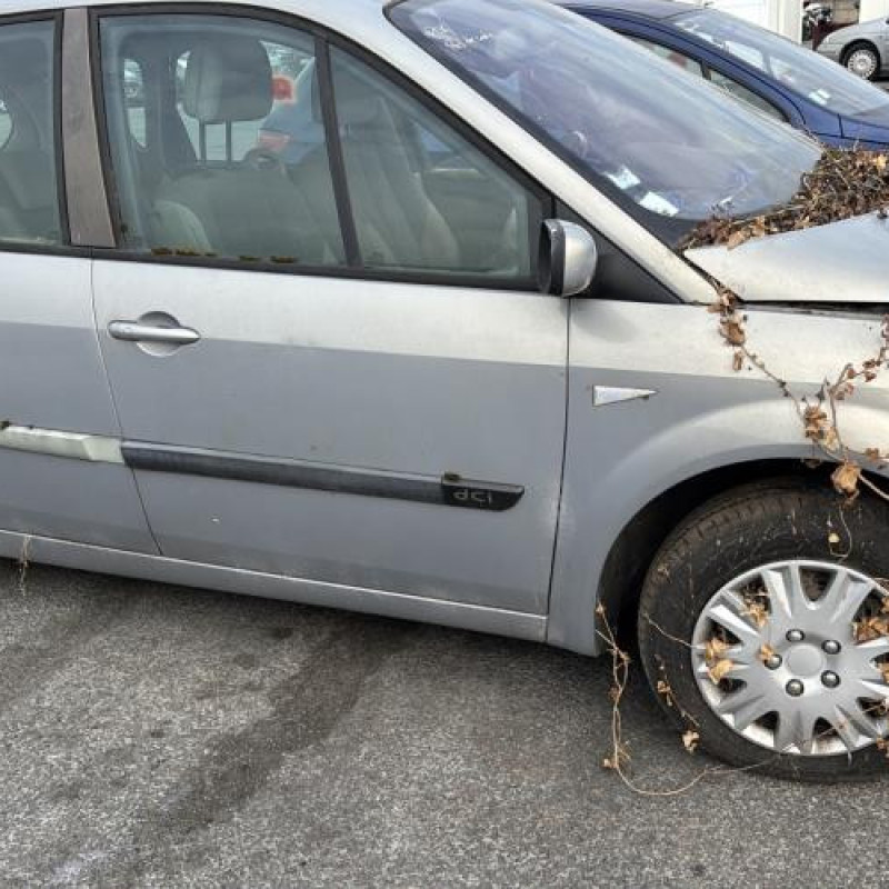 Custode avant droit (porte) RENAULT SCENIC 2 Photo n°11