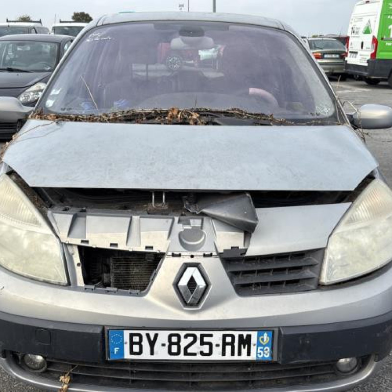 Custode avant droit (porte) RENAULT SCENIC 2 Photo n°12