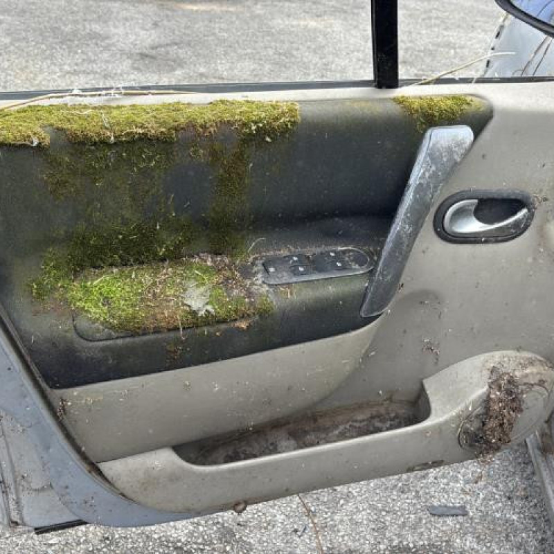 Custode avant droit (porte) RENAULT SCENIC 2 Photo n°13