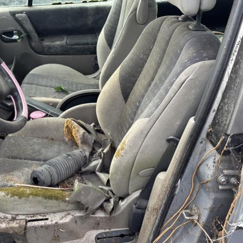 Custode avant droit (porte) RENAULT SCENIC 2 Photo n°14