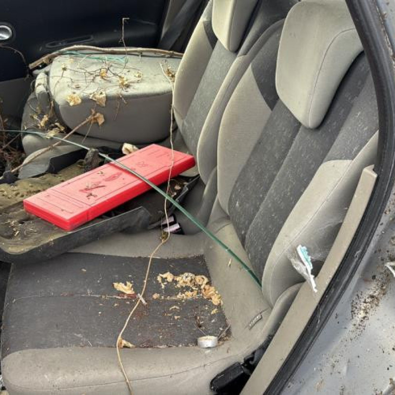 Custode avant droit (porte) RENAULT SCENIC 2 Photo n°15