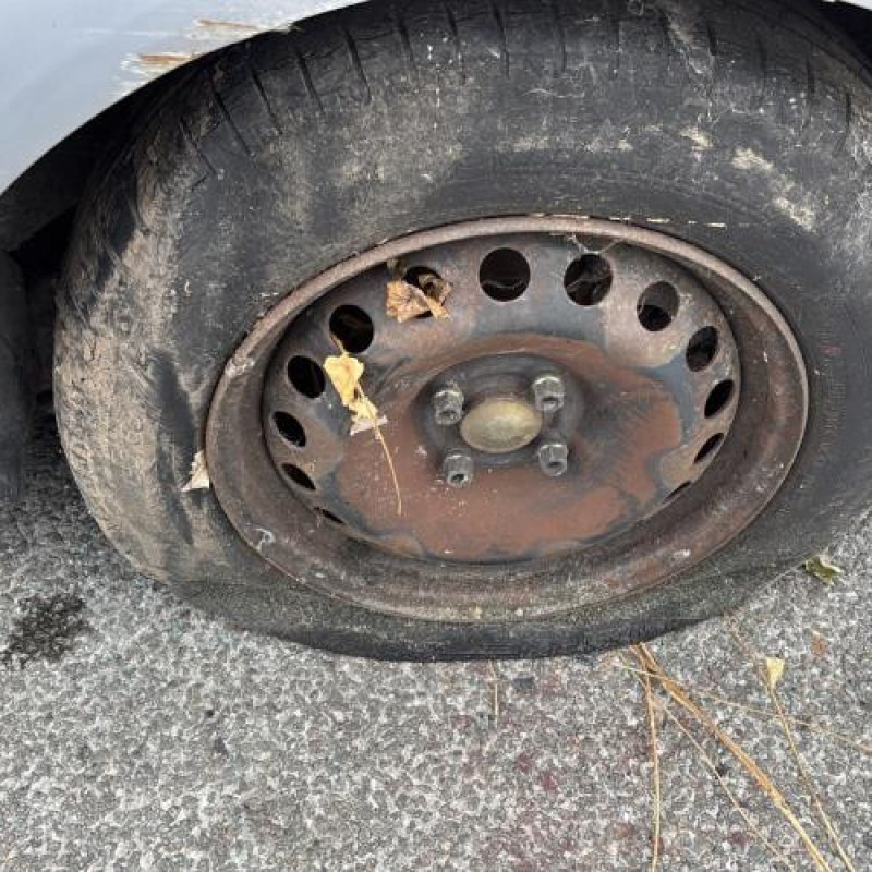 Custode avant droit (porte) RENAULT SCENIC 2 Photo n°20