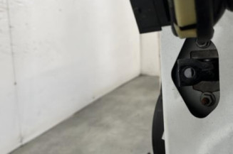 Porte arriere gauche PEUGEOT 5008 1