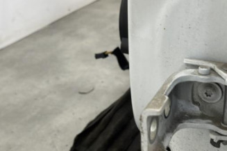 Porte arriere gauche PEUGEOT 5008 1