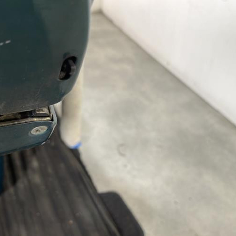 Porte arriere gauche CITROEN SAXO Photo n°3