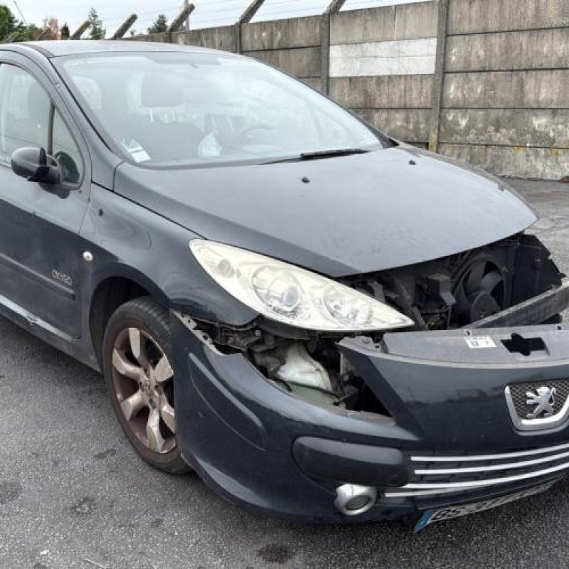 Porte arriere gauche PEUGEOT 307 Photo n°8