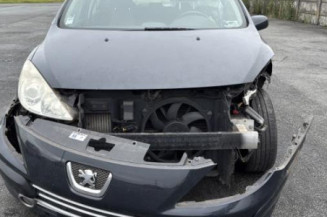 Porte arriere gauche PEUGEOT 307