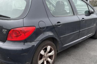 Vitre arriere droit PEUGEOT 307