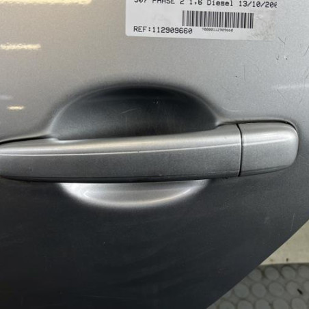 Porte arriere gauche PEUGEOT 307