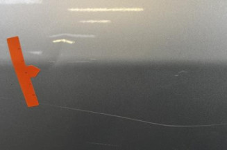 Porte arriere gauche PEUGEOT 307