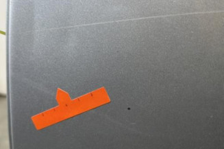 Porte arriere gauche PEUGEOT 307