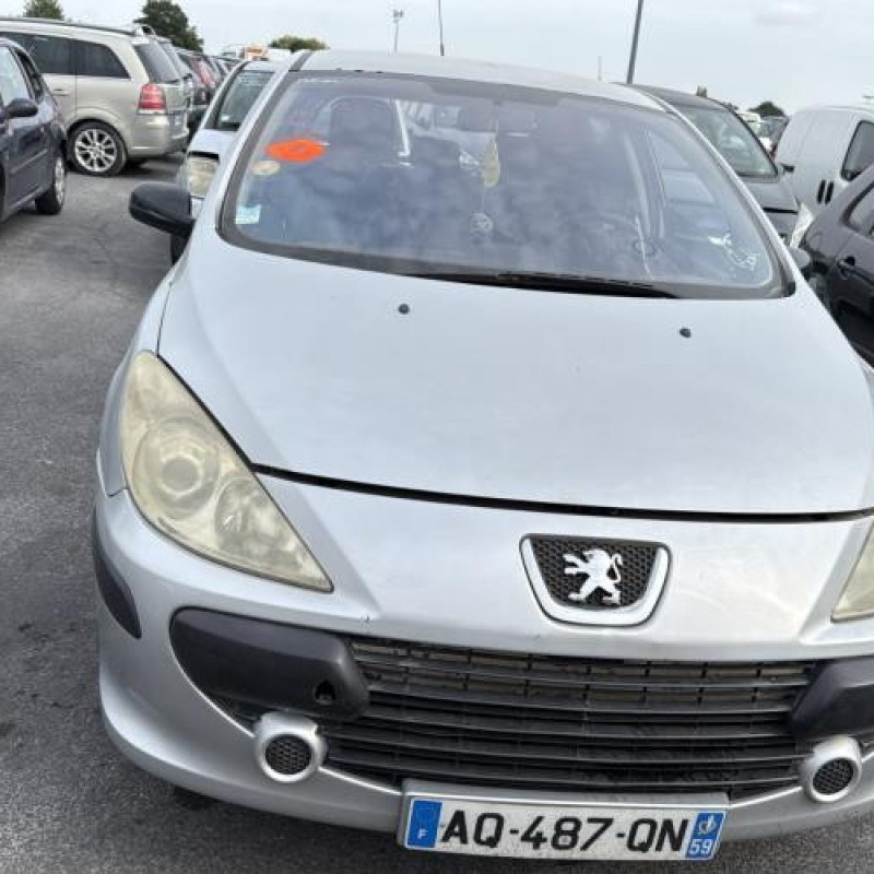 Porte arriere gauche PEUGEOT 307 Photo n°16