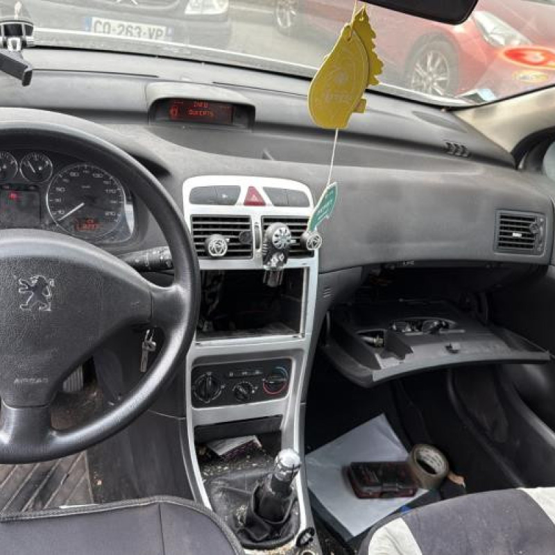 Porte arriere gauche PEUGEOT 307 Photo n°20