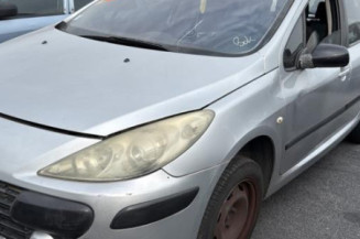 Vitre arriere droit PEUGEOT 307