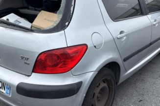 Vitre arriere droit PEUGEOT 307