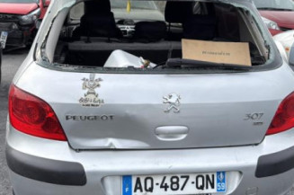 Vitre arriere droit PEUGEOT 307