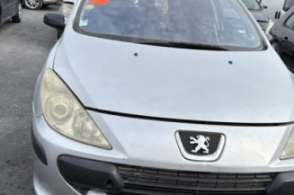 Vitre arriere droit PEUGEOT 307