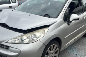 Porte avant gauche PEUGEOT 207