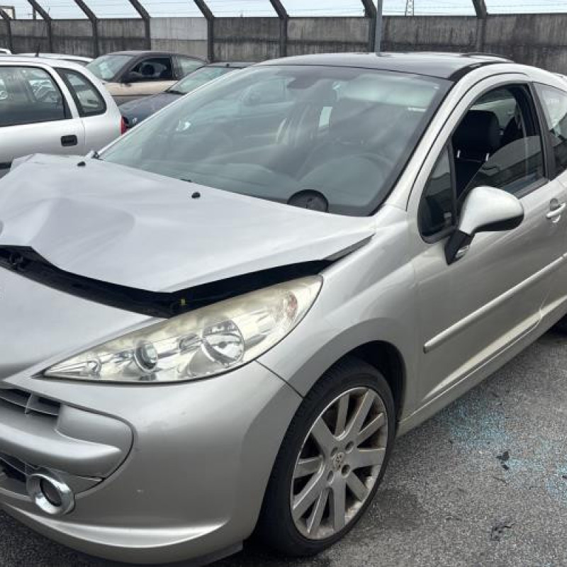 Porte avant gauche PEUGEOT 207 Photo n°5