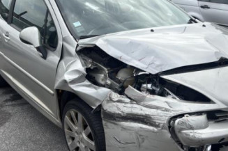 Porte avant gauche PEUGEOT 207
